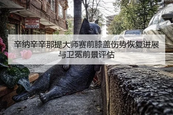 xin-na-xin-xin-na-ti-da-shi-sai-qian-xi-gai-shang-shi-hui-fu-jin-zhan-yu-wei-mian-qian-jing-ping-gu-2-988.jpg