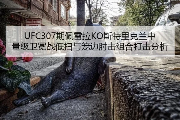 UFC307期佩雷拉KO斯特里克兰中量级卫冕战低扫与笼边肘击组合打击分析